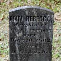 Ann Rebecca ANTHONY